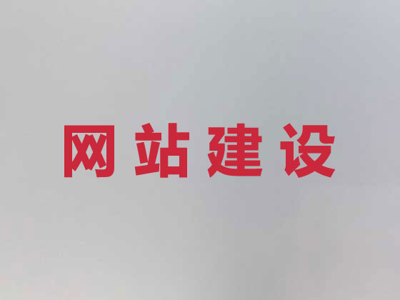 駐馬店專業(yè)網(wǎng)站建設(shè)